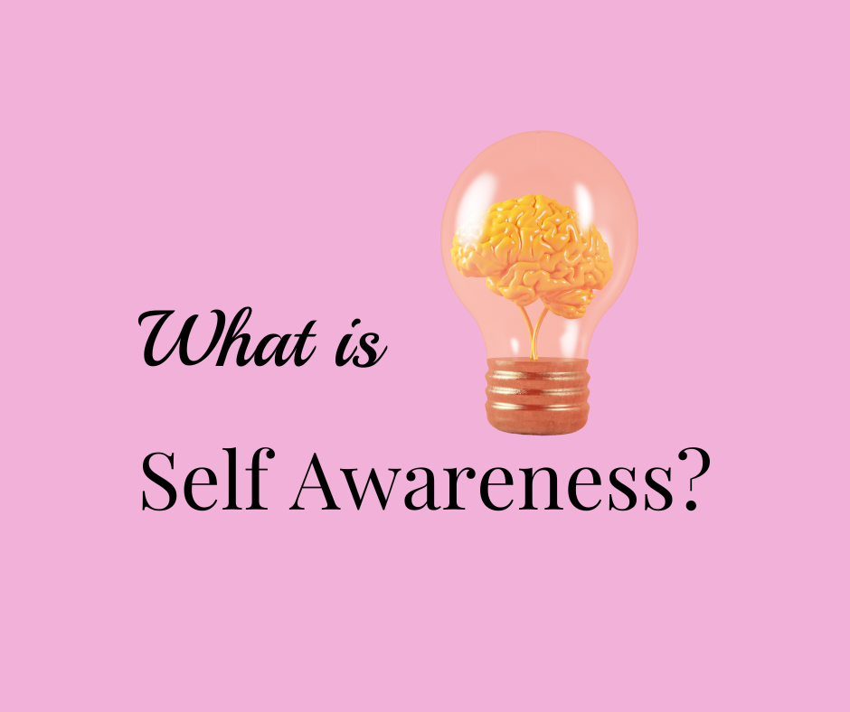 What is Self- Awareness?